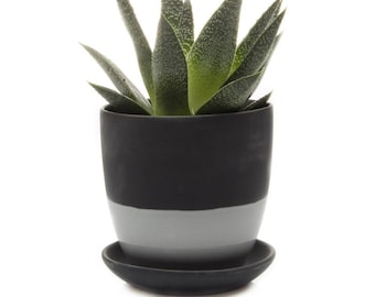 Dekorativer zweifarbiger Blumentopf mit Untersetzer