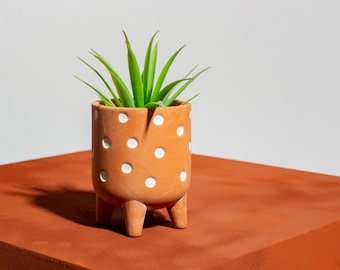 Mini jardinera de terracota con lunares