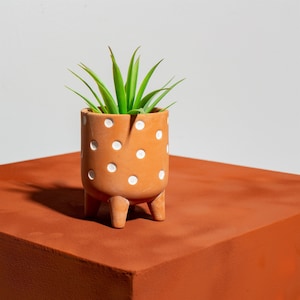 May include: A terracotta planter with white polka dots and three legs, holding a green succulent plant.