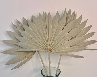 Boho Natürliche Getrocknete Palm Sun Spears