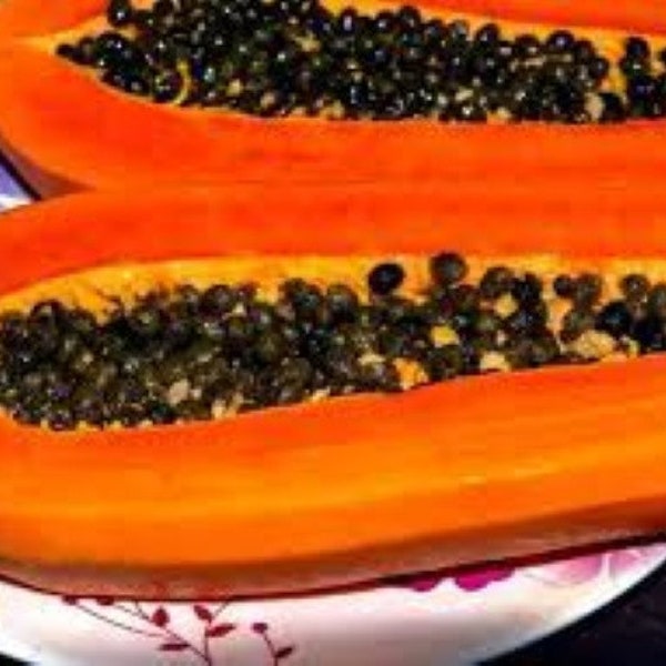 Carica Papaya - 10 x Fresh Tropical Seeds - Honeydew Tree Melon - Pawpaw Fruit. A perfect addition to your indoor or outdoor garden.
