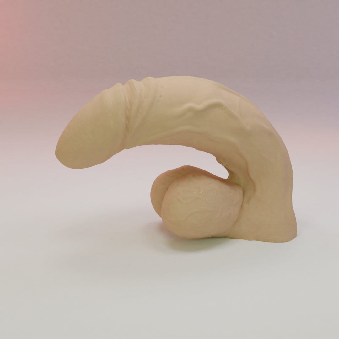 Penis 3d Model