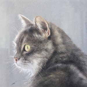 Peinture pastel profil de chat : oeuvre d&#39;art sur papier doux Canson