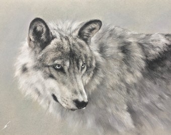 Wolf Portrait: Wildlife Art, Home Decor Gift