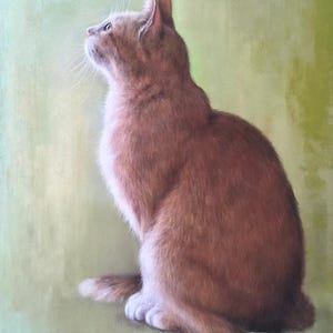 Ginger Cat Pastel Drawing: Soft Pet Portrait Art