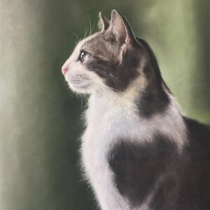 Puede incluir: Dibujo al pastel de un gato de perfil, sobre un fondo verde suave. El gato tiene un pelaje blanco y gris con una nariz rosada y mira hacia la izquierda. La obra está firmada en la esquina inferior izquierda.