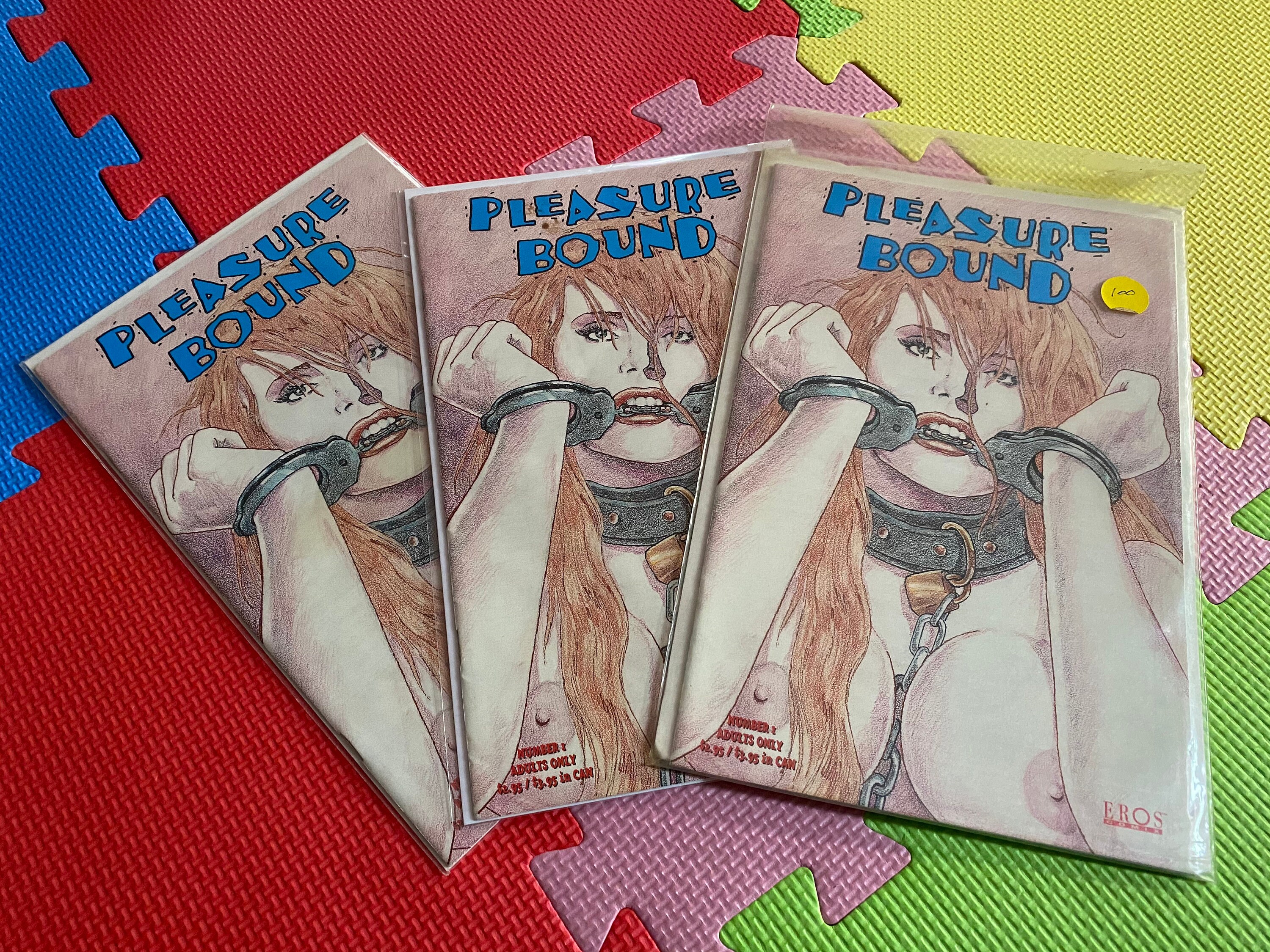 Pleasure Bound Lesbian BDSM Erotic Adult Comic Books Eros - Etsy New Zealand