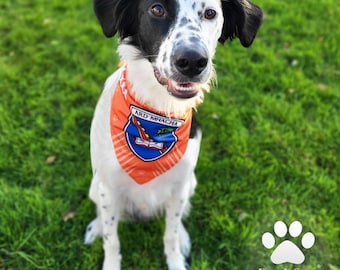 Bandana officiel GAA en polaire pour animaux de compagnie, couleurs du comté d'Irish