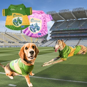 Official GAA Pet Jersey