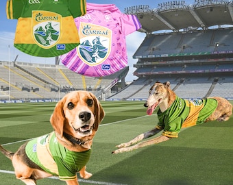 Maillot officiel GAA pour animaux de compagnie