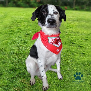 Official Wales Football Pet Bandana