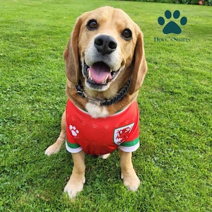 Puppy football on sale jerseys