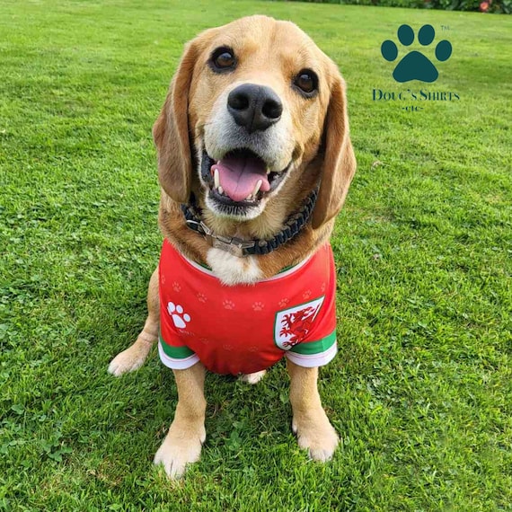 Official Wales Football Dog Jersey Official Pet Apparel Pet Etsy