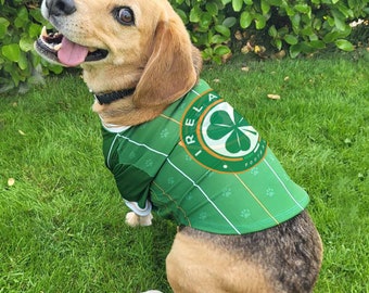 Maillot et bandana FAI Irlande pour chien – Marchandise officielle sous licence pour animaux de compagnie