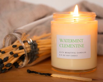 Watermint Clementine | Handmade Soy Candle | Clean Burning Candle | Citrus Scented Candle | Summer Candle | City Beautiful Candles