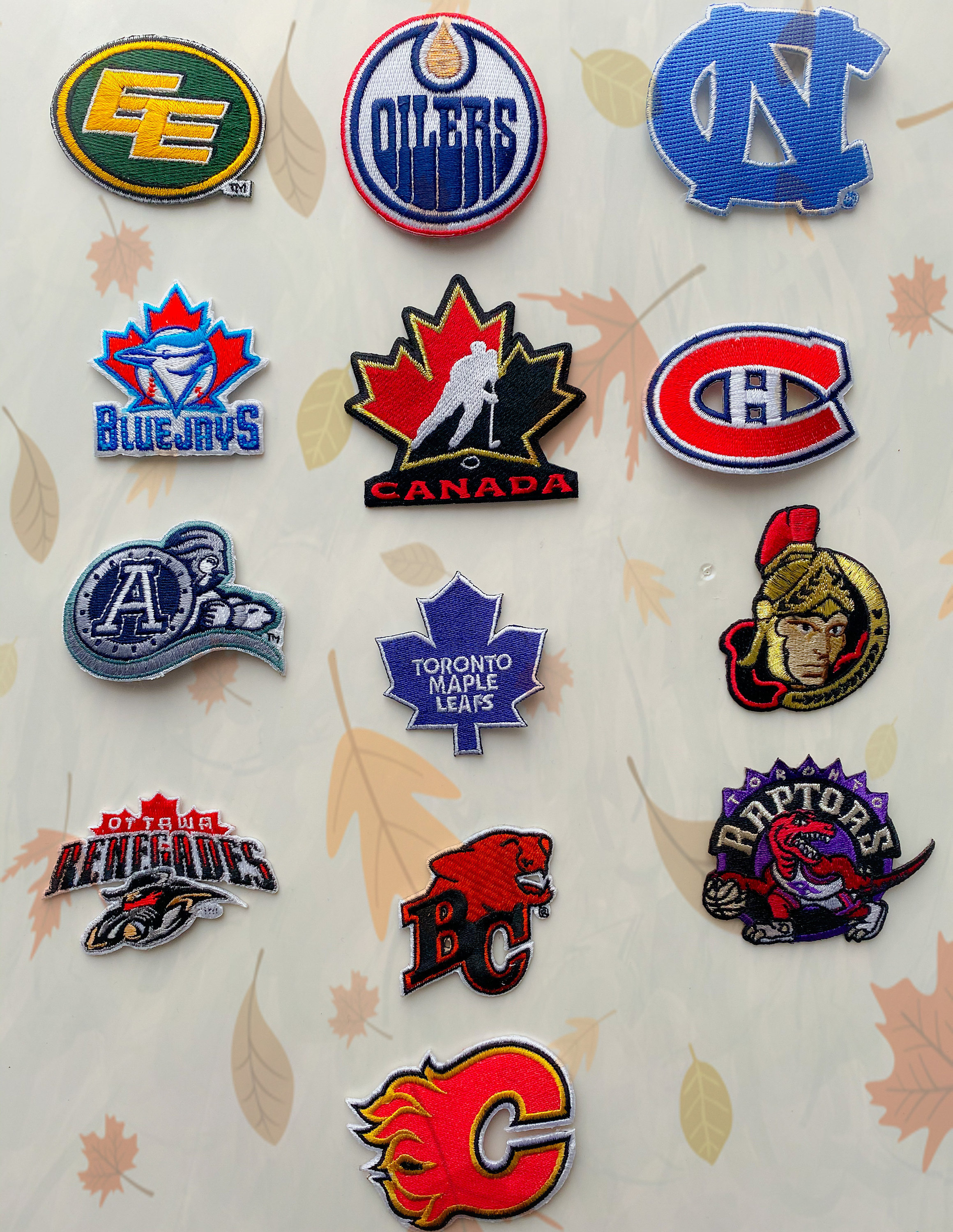 NHL Logo Patch, Embroidered Iron-on, Size: 3.3 x 4 inches - EmbroSoft