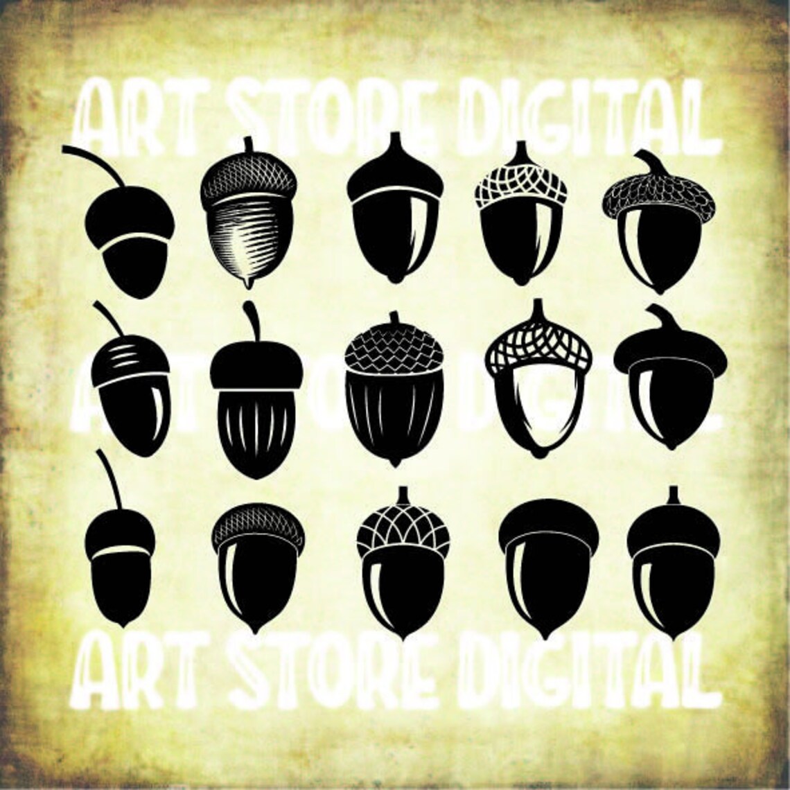 Acorn Svg Acorn SVG Bundle Acorn Clipart Acorn Cut Files | Etsy