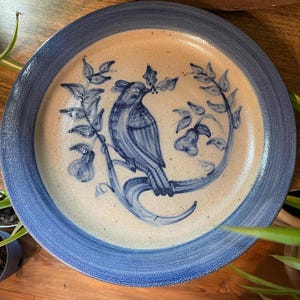 Può includere: Un piatto in ceramica blu e bianco con un design di uccello blu. L'uccello è appollaiato su un ramo con foglie e fiori. Il piatto ha un bordo blu.