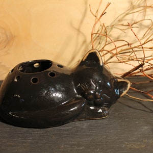 Könnte beinhalten: Schwarze Keramikvase in Katzenform mit Löchern für Blumenstiele. Die Vase ist glasiert und hat eine glänzende Oberfläche.