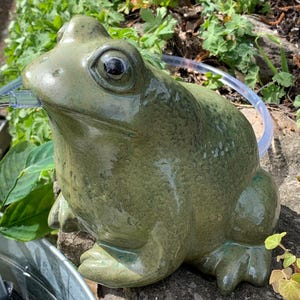 Könnte beinhalten: Eine grüne Keramikfroschfigur mit strukturierter Oberfläche. Der Frosch sitzt auf einem Stein und hat ein durchsichtiges Plastikrohr, das aus seinem Mund kommt.