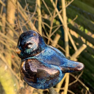 Könnte beinhalten: Ein blauer und brauner Keramikvogel mit glänzendem Überzug. Der Vogel sitzt auf einem Ast.