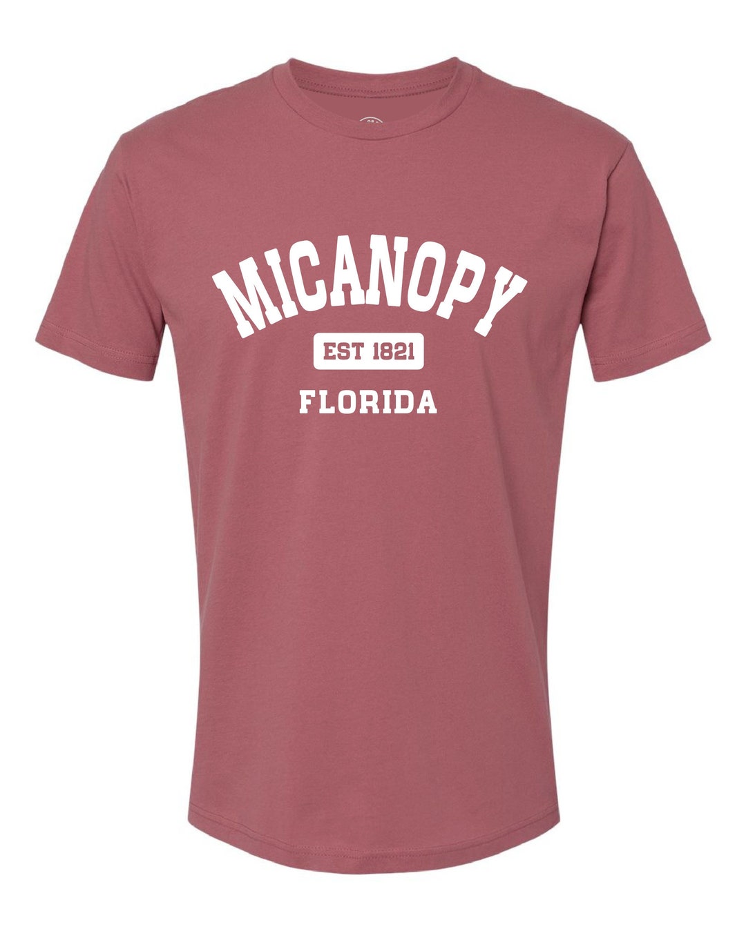 Micanopy FL Tshirt Florida Pride Classic Tee Summer Vibes Florida Etsy
