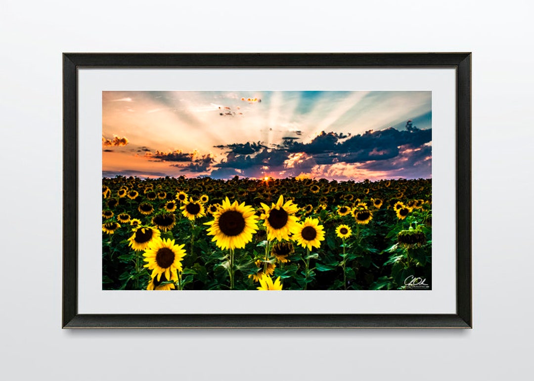 Visages du soleil Comté de Grant MN Etsy France