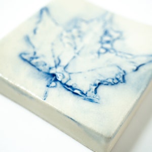 Peut inclure: Un carreau de céramique blanc avec un motif de feuille bleue. La feuille est au centre du carreau et est soulignée de bleu.