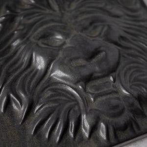 May include: Close-up of a dark grey rectangular object featuring a detailed relief of a lion's face. The lion's mane and facial features are intricately carved, creating a textured surface. The object has a metallic sheen.