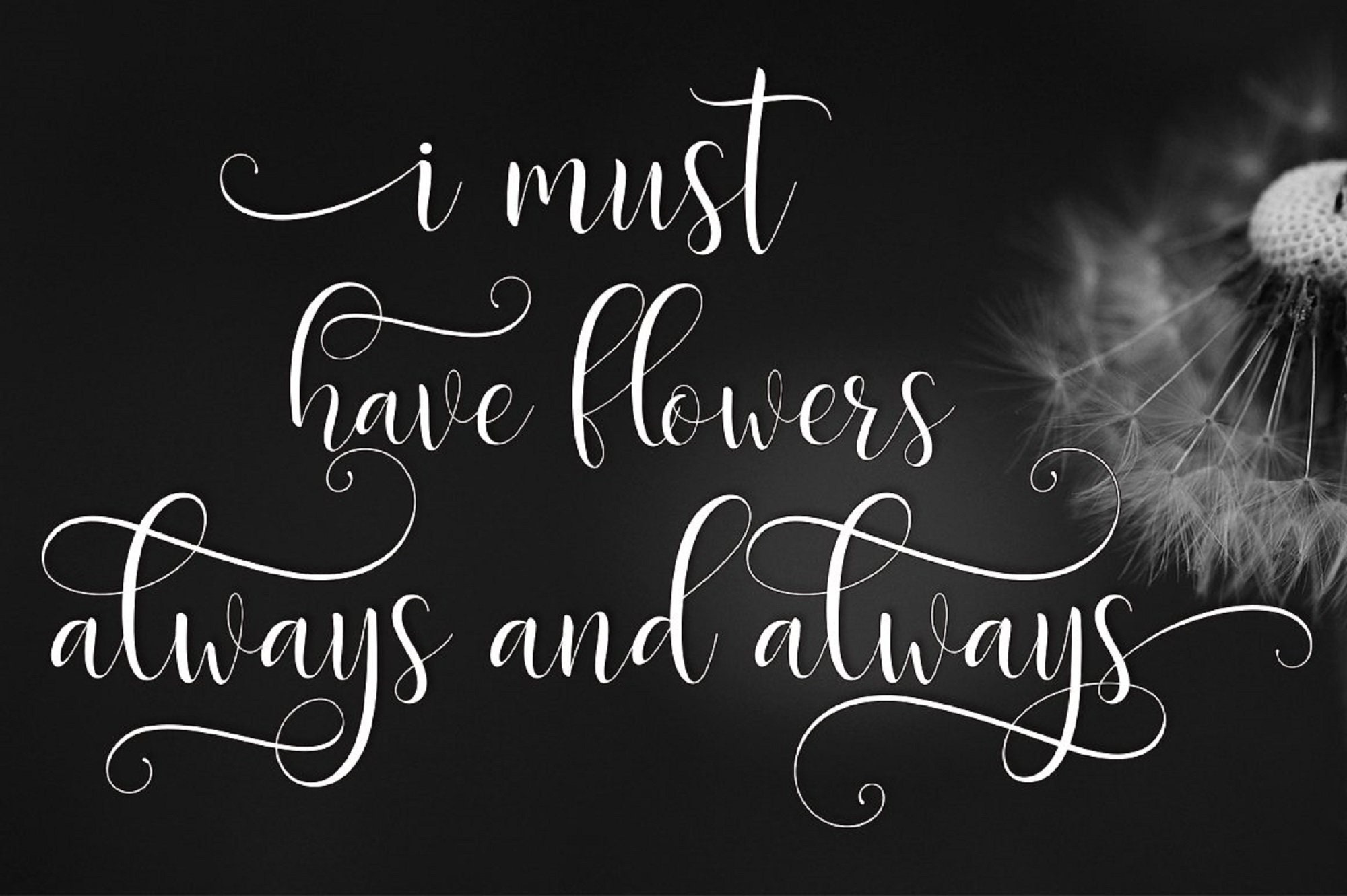 swirly fonts with glyphs swirly fonts with glyphs