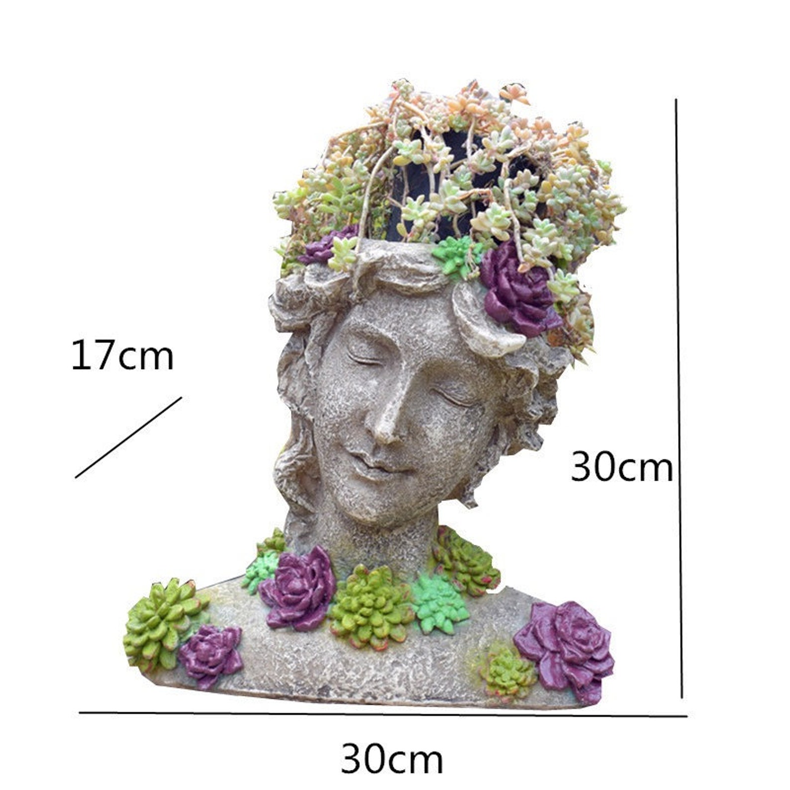 Goddess Head PlanterResin Succulent Flower PotFlower Etsy