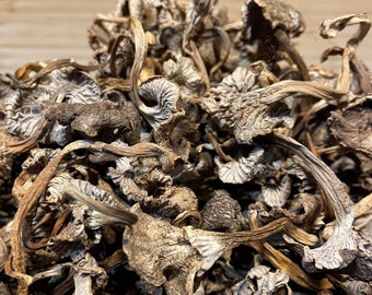 Dried Yellowfoot Mushrooms