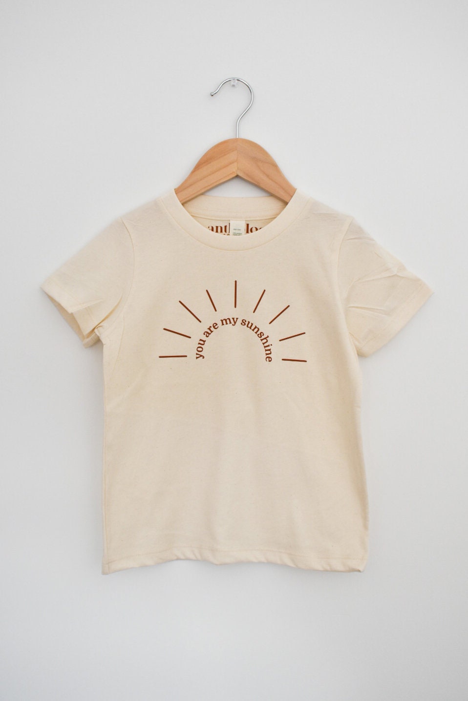 You Are My Sunshine Graphic Tee Infant Onesie Toddler | Etsy