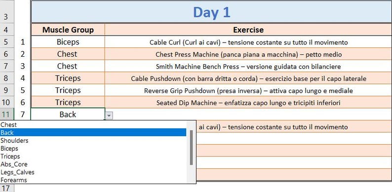 Excel Spreadsheet Workout Planner Customizable Template Body Building ...