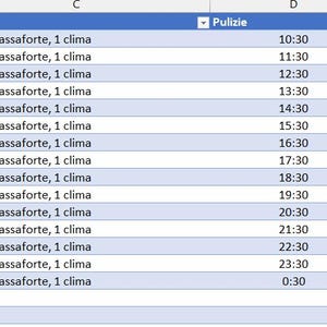 May include: A spreadsheet with a list of rooms, the number of beds in each room, the amenities in each room, the cleaning schedule, and the maintenance schedule.