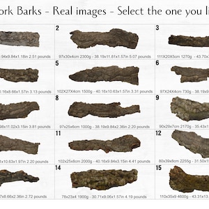 Virgin Cork Bark, for Orchids, Airplants, Reptiles, Vivarium and Terrarium Decor • MA028