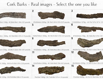 Virgin Cork Bark, for Orchids, Airplants, Reptiles, Vivarium and Terrarium Decor • MA028