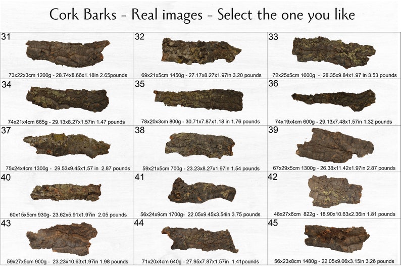 Virgin Cork Bark, for Orchids, Airplants, Reptiles, Vivarium and ...
