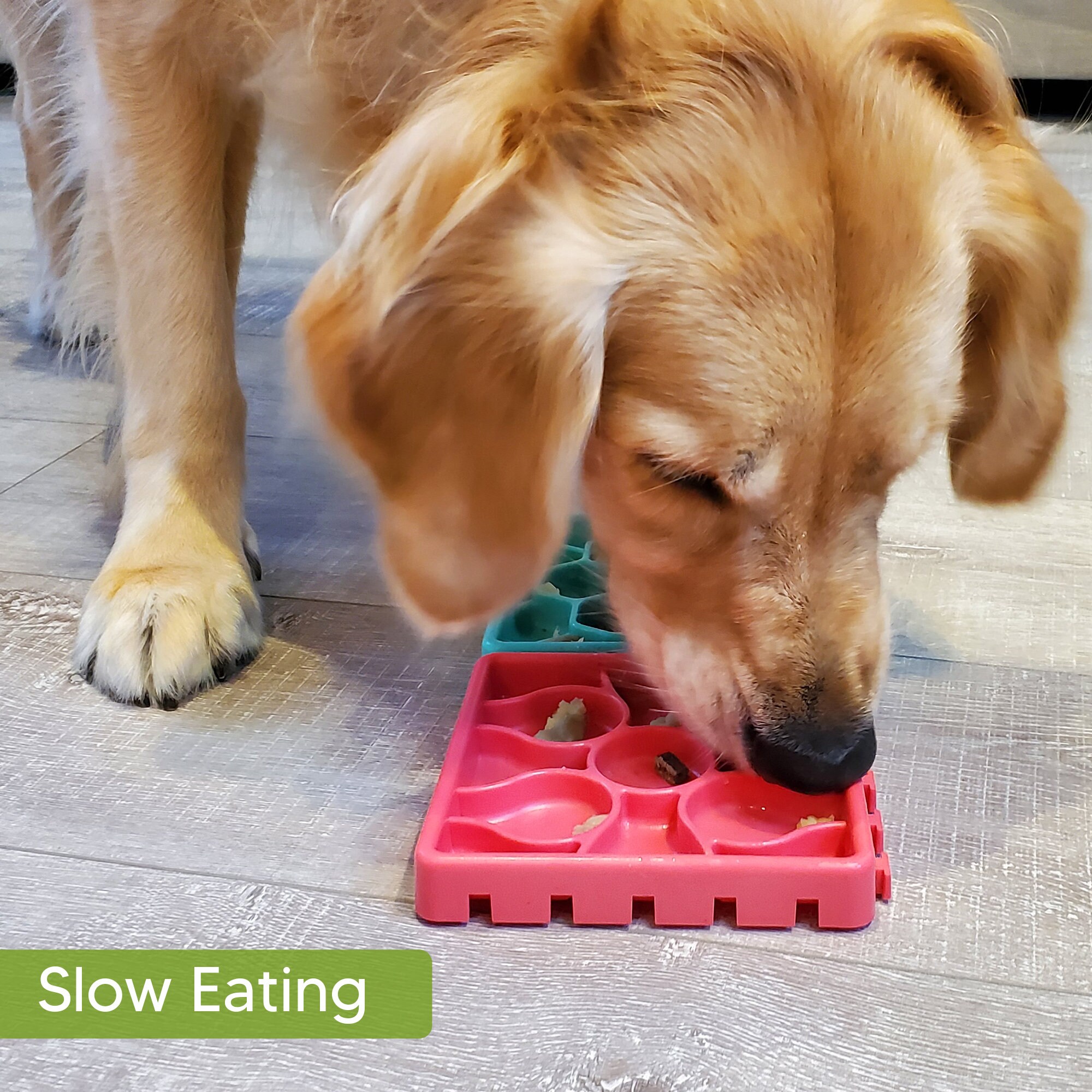 Hdoni Dog Lick Mat for Dogs & Cats 4pcs Premium Dog Washing Etsy