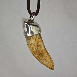 Large Viking amulet made from a beast's tooth with a silver cap / Medieval artifacts