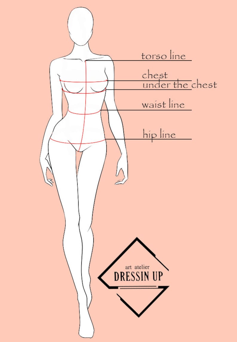 May include: A fashion illustration of a female figure with measurement lines labeled: torso line, chest, under the chest, waist line, and hip line. The image includes the text "art atelier DRESSIN UP" in a black diamond-shaped logo, set against a light pink background.
