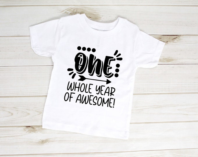 One whole year of awesome tee, first birthday shirt, cute 1st birthday tshirt, unisex, boy or girl, toddler t-shirt, birthday outfit gift