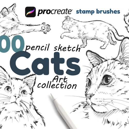 Procreate Cats Brushes 100 Cats Sketch Collection Cat Stamp Etsy