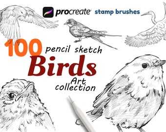 Procreate Birds Brushes, 100 Vögel Skizze, Vogelstempel Pinsel, Pose, Aktion, Portrait, Ausdruck.