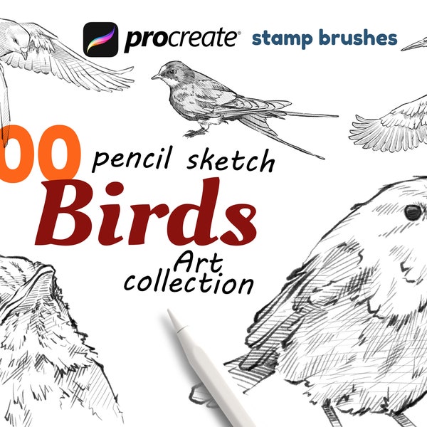 Procreate Birds Brushes, 100 croquis d'oiseaux, pinceaux pour tampons d'oiseaux, pose, action, portrait, expression.