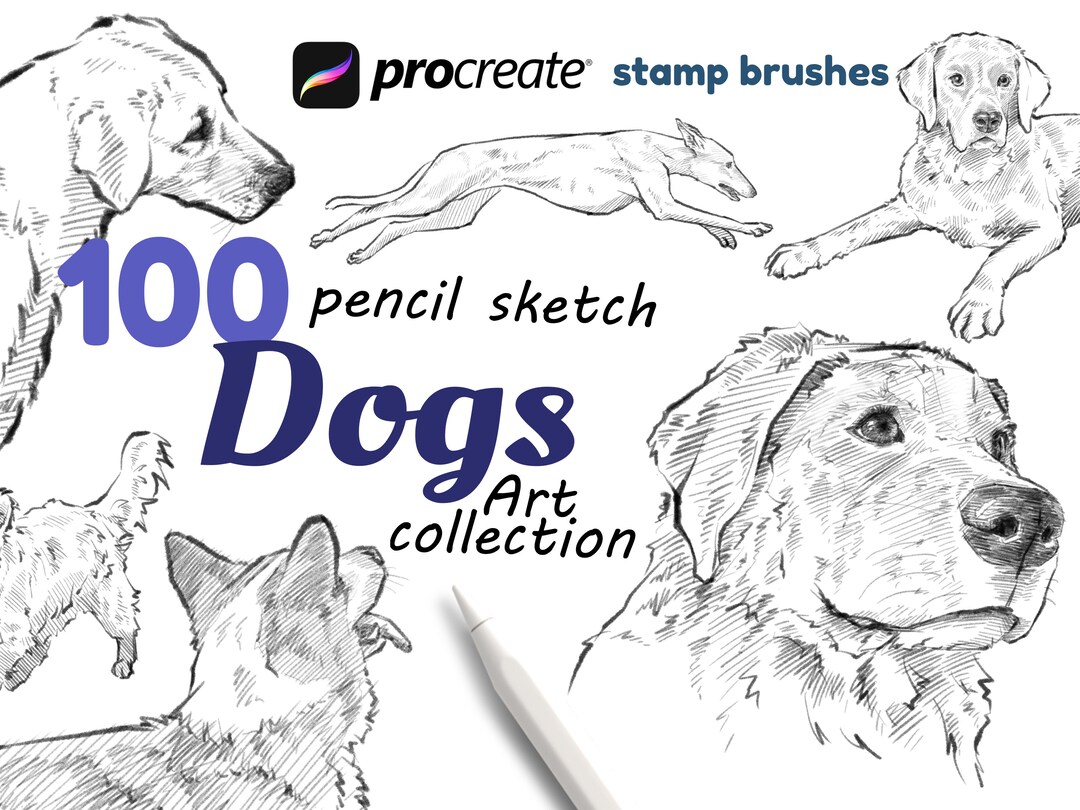 Procreate Dogs Brushes, 100 Dogs Sketch, Dog Stamp Brushes Pose, Action