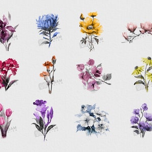 Procreate Flower Stamp Dual Brushes, Floral, Leaf, Botanical Stamps - Etsy