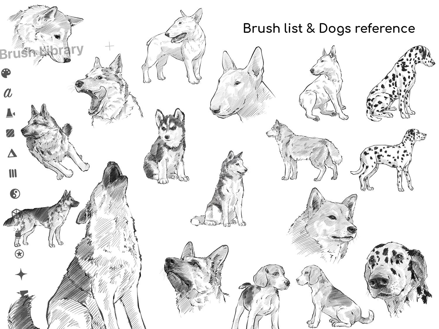 Procreate Dogs Brushes 100 Dogs Sketch Dog Stamp Brushes Etsy
