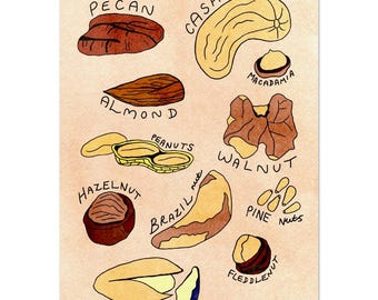 Nuts For Nuts Art Print