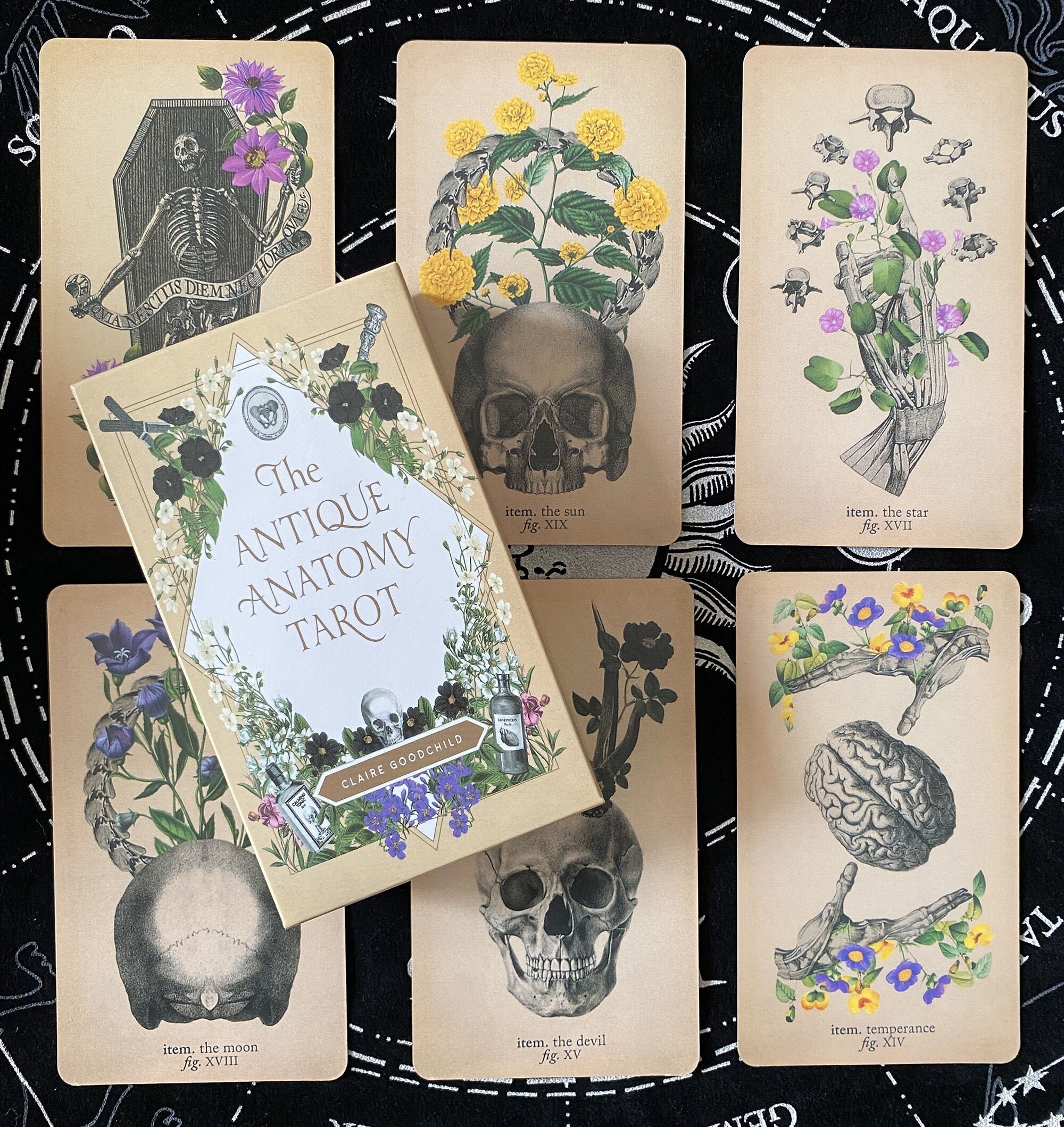 The antique anatomy tarot cards/Tarot cards deck/Paranormal Etsy